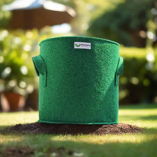 Geofabric Grow Bag for Planting w3p0je-3p