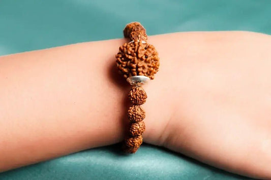 7 Mukhi Rudraksha Bracelet w3p0je-3p